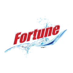 Fortune